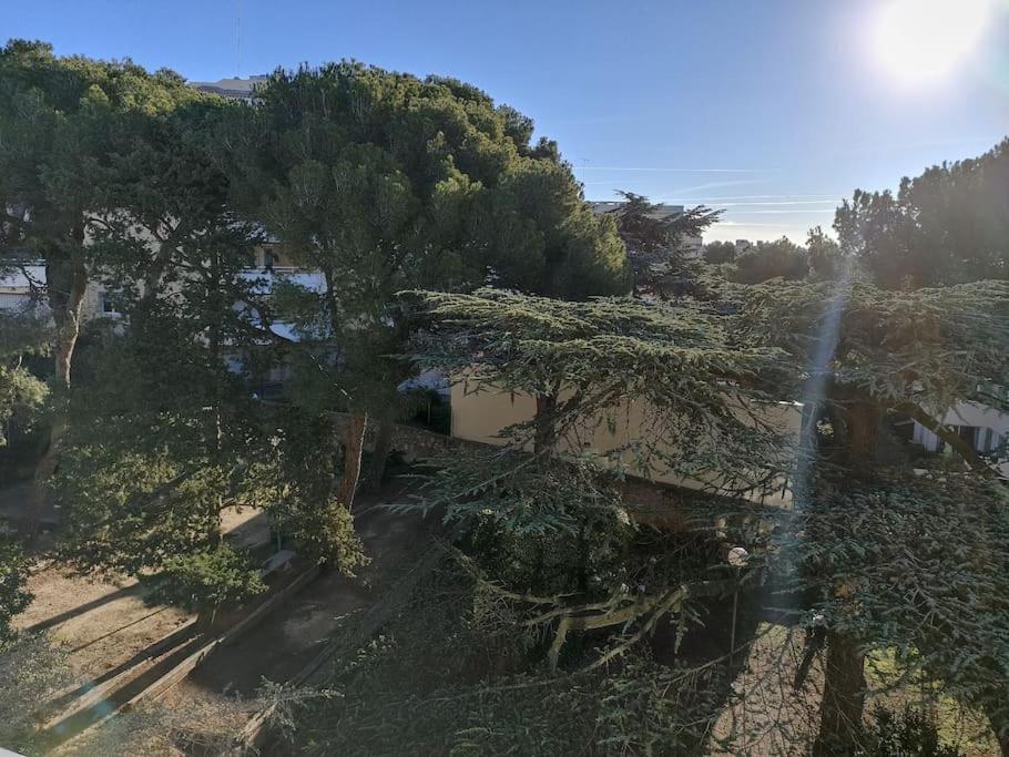 Beau Duplex Vue Mer - Terrasse - Garage - Wifi Sete Exterior photo